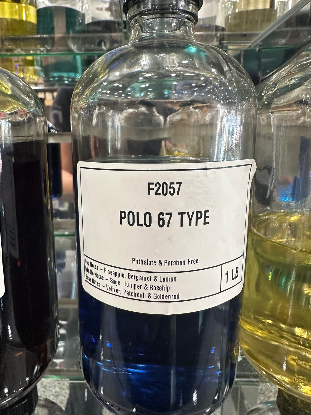 Polo 67